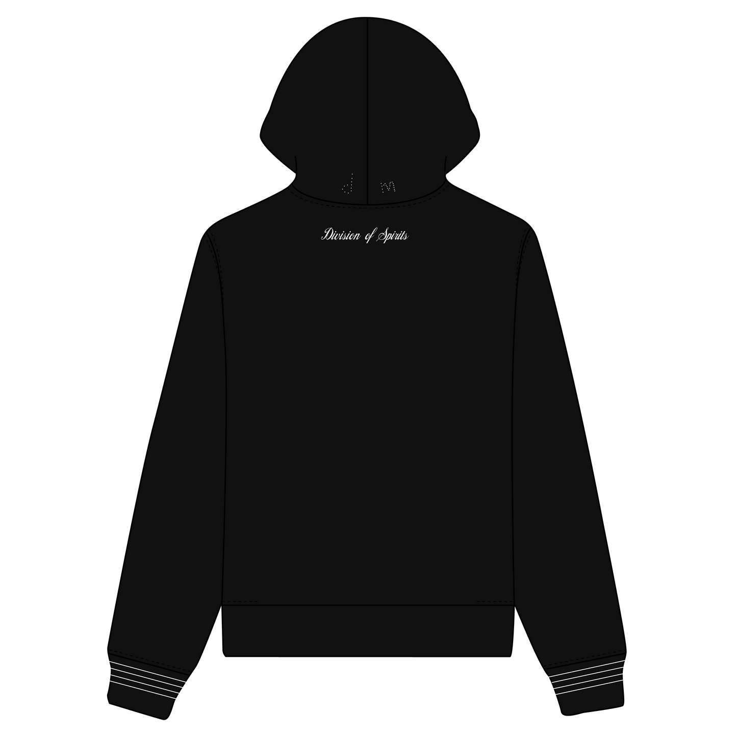 DIVISION OF SPIRITS HOODIE